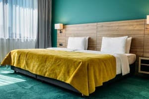 Отель Favor Park Hotel. Бизнес двухместный  4