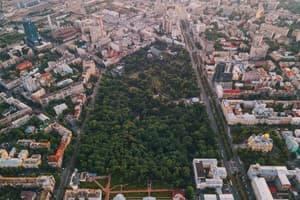 Senator City Center 13